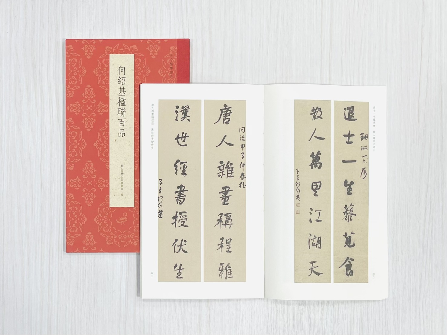 《何紹基楹聯百品》 古今楹聯經典 藝文類聚金石書畫館 浙江人民美術出版社