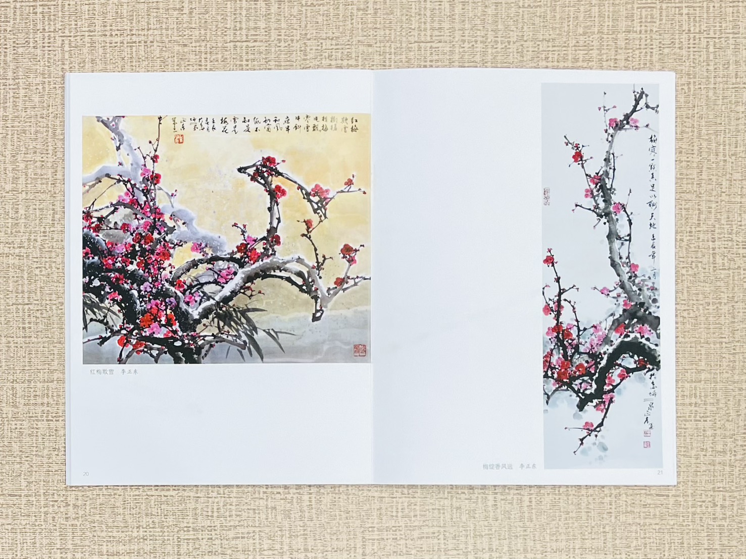 《臨摹寶典 梅花》 福建美術出版社