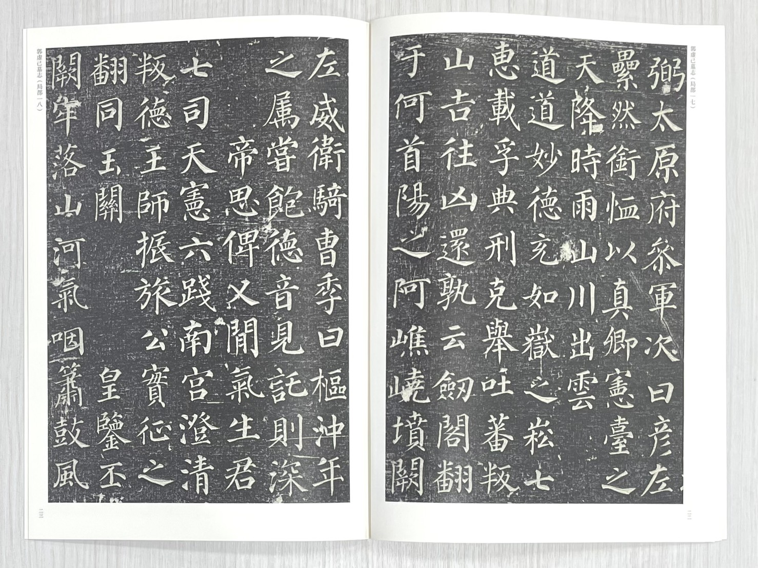 《郭虛己墓志》 中國歷代經典碑帖 楷書系列 陳振濂 主編 河南美術出版社