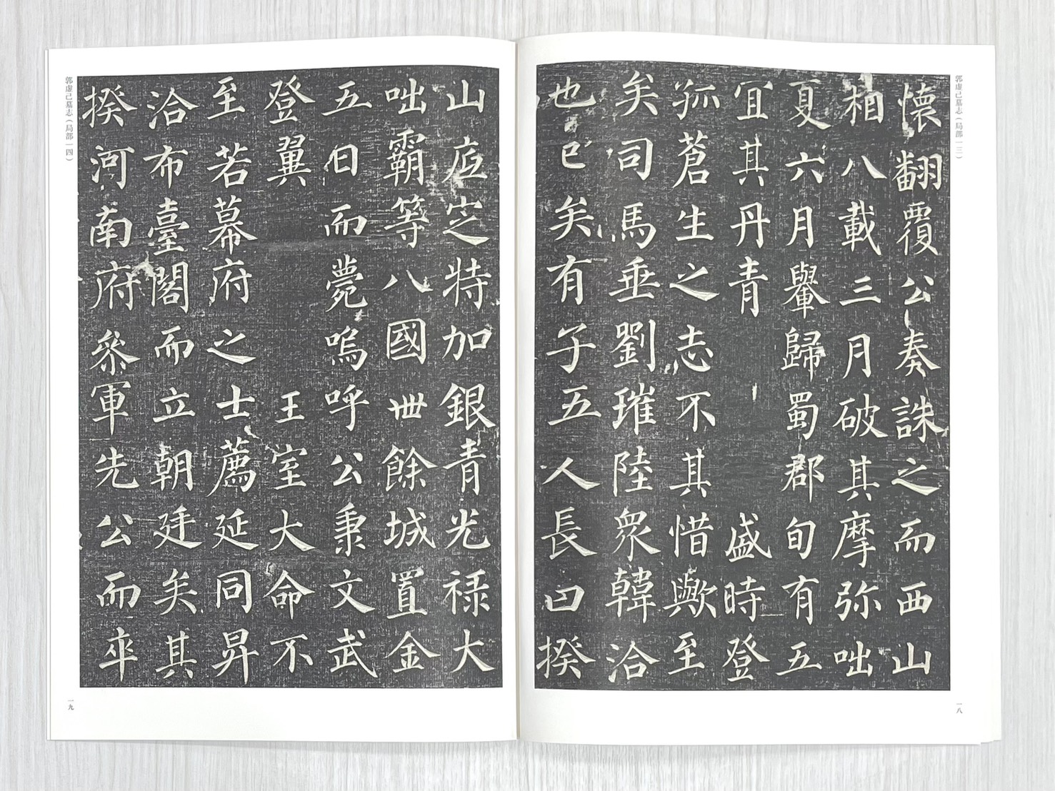 《郭虛己墓志》 中國歷代經典碑帖 楷書系列 陳振濂 主編 河南美術出版社