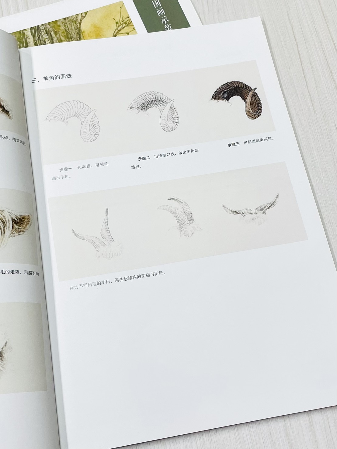 《工筆羊畫法》 名家國畫示範教程 張秀萍 編繪 天津楊柳青畫社 出版