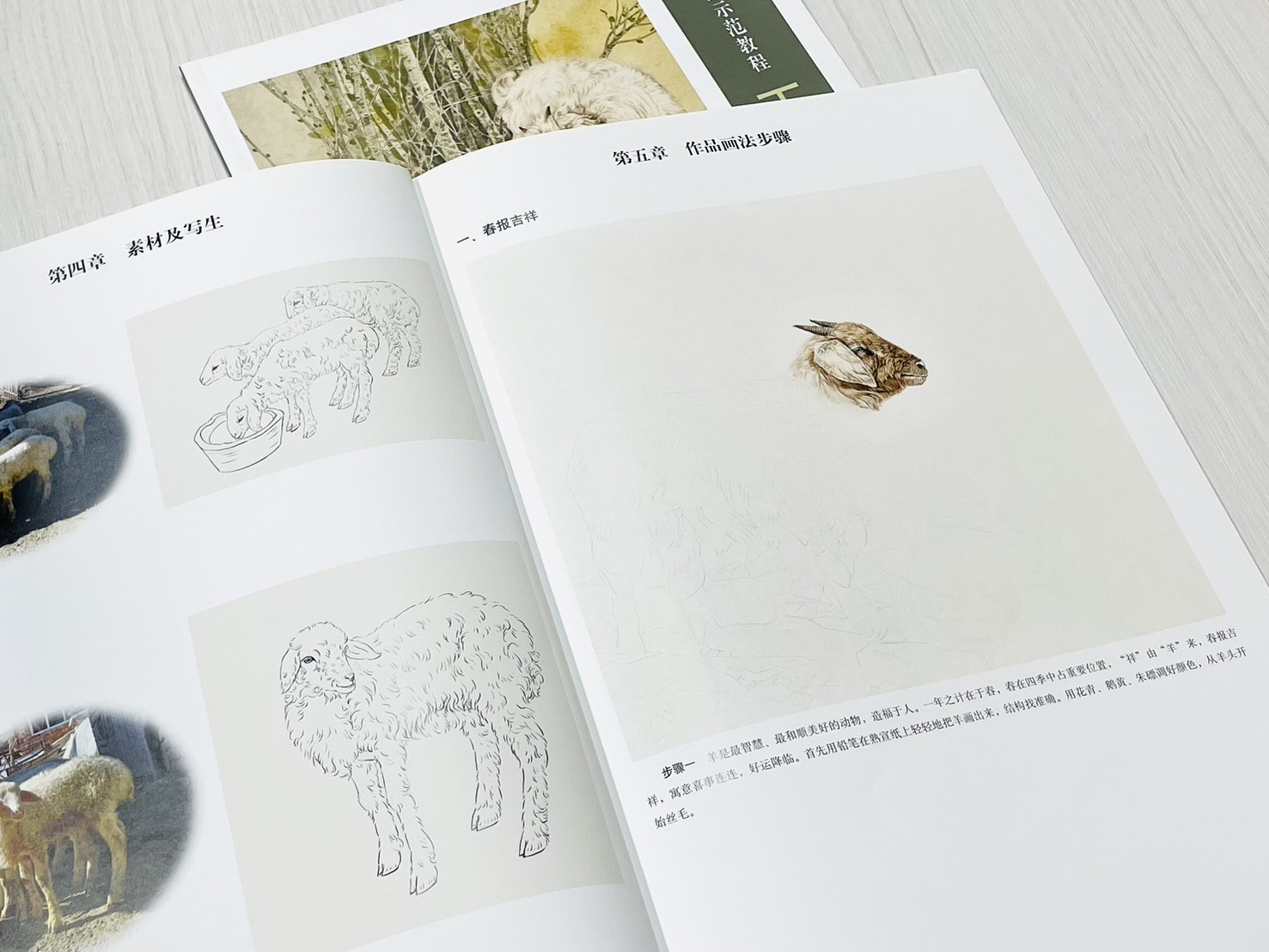 《工筆羊畫法》 名家國畫示範教程 張秀萍 編繪 天津楊柳青畫社 出版