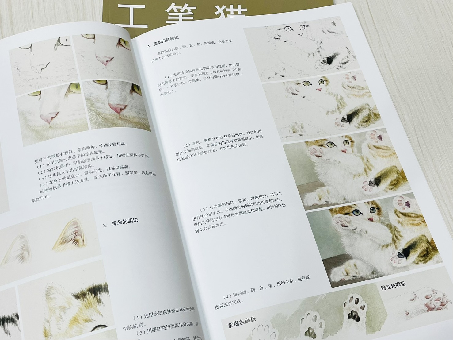 《工筆貓技法全解》 中國畫名家技法叢書 邢誠爱 編繪 天津楊柳青畫社 出版