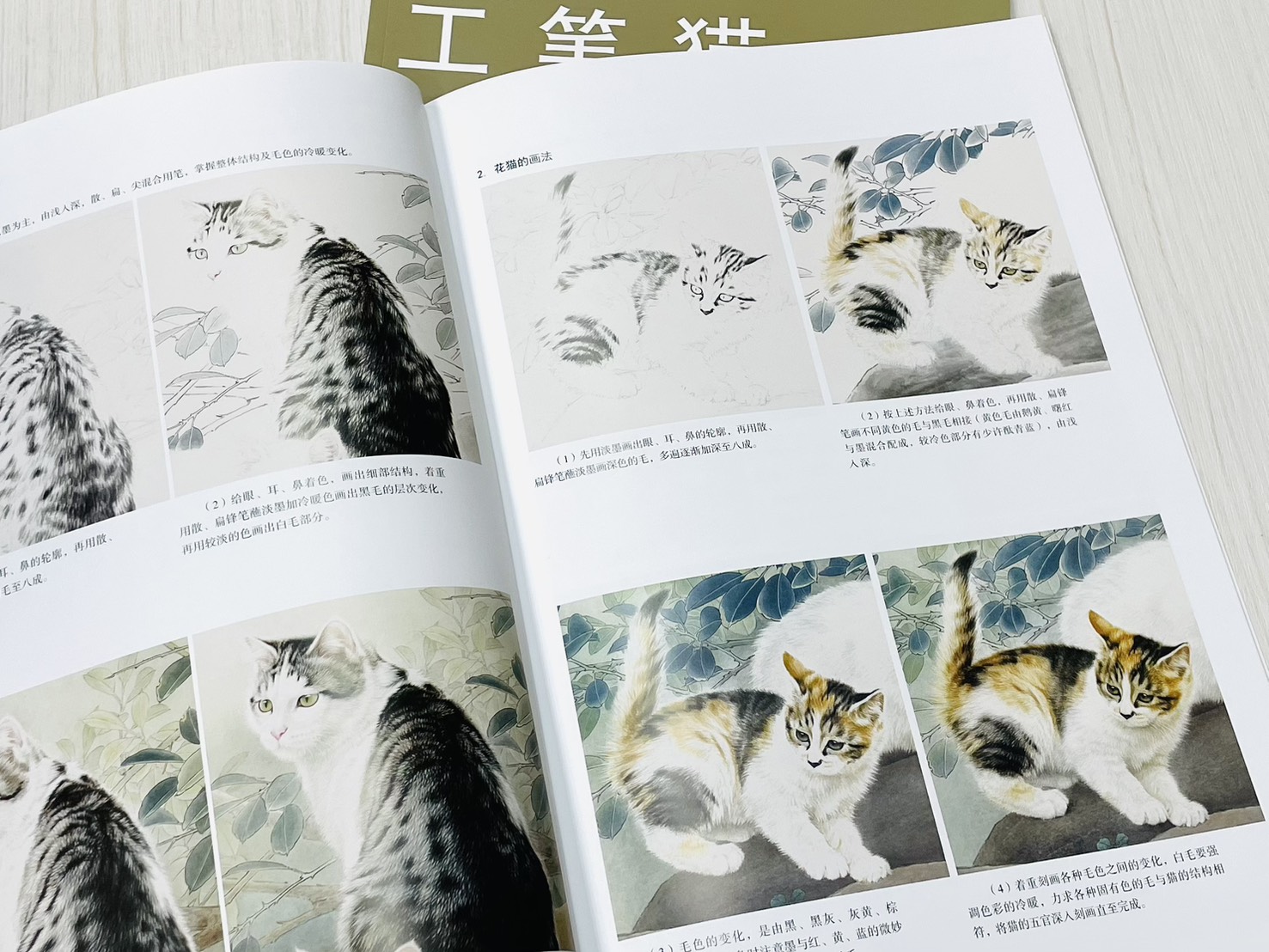 《工筆貓技法全解》 中國畫名家技法叢書 邢誠爱 編繪 天津楊柳青畫社 出版