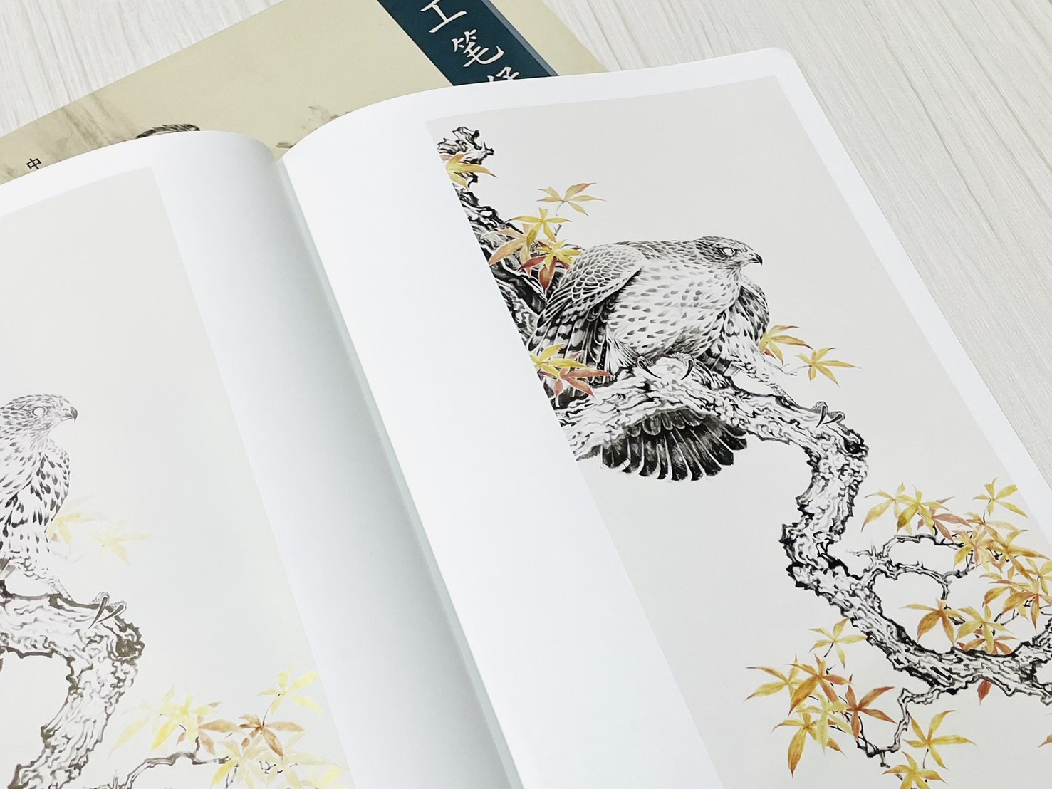 《工筆猛禽鷹畫法》 中國畫名家畫法解讀 楊聯國 編繪 天津楊柳青畫社 出版