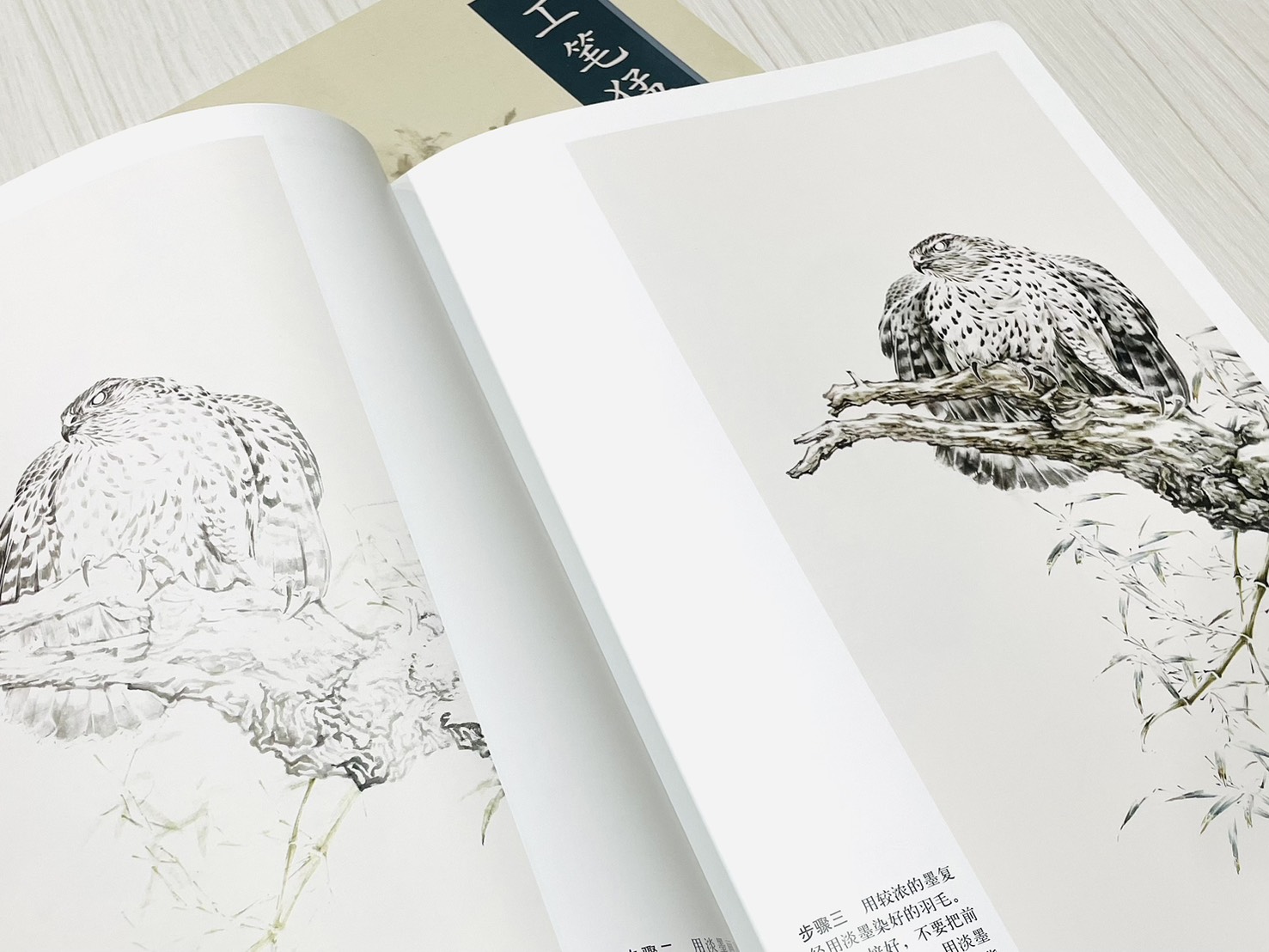《工筆猛禽鷹畫法》 中國畫名家畫法解讀 楊聯國 編繪 天津楊柳青畫社 出版