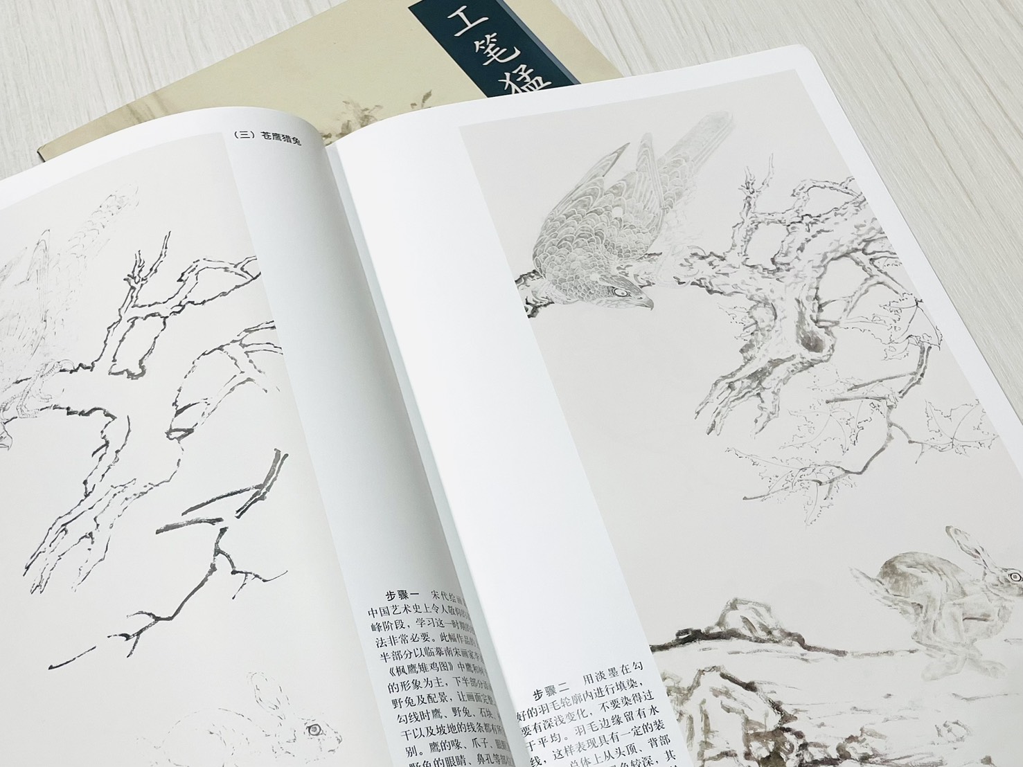 《工筆猛禽鷹畫法》 中國畫名家畫法解讀 楊聯國 編繪 天津楊柳青畫社 出版