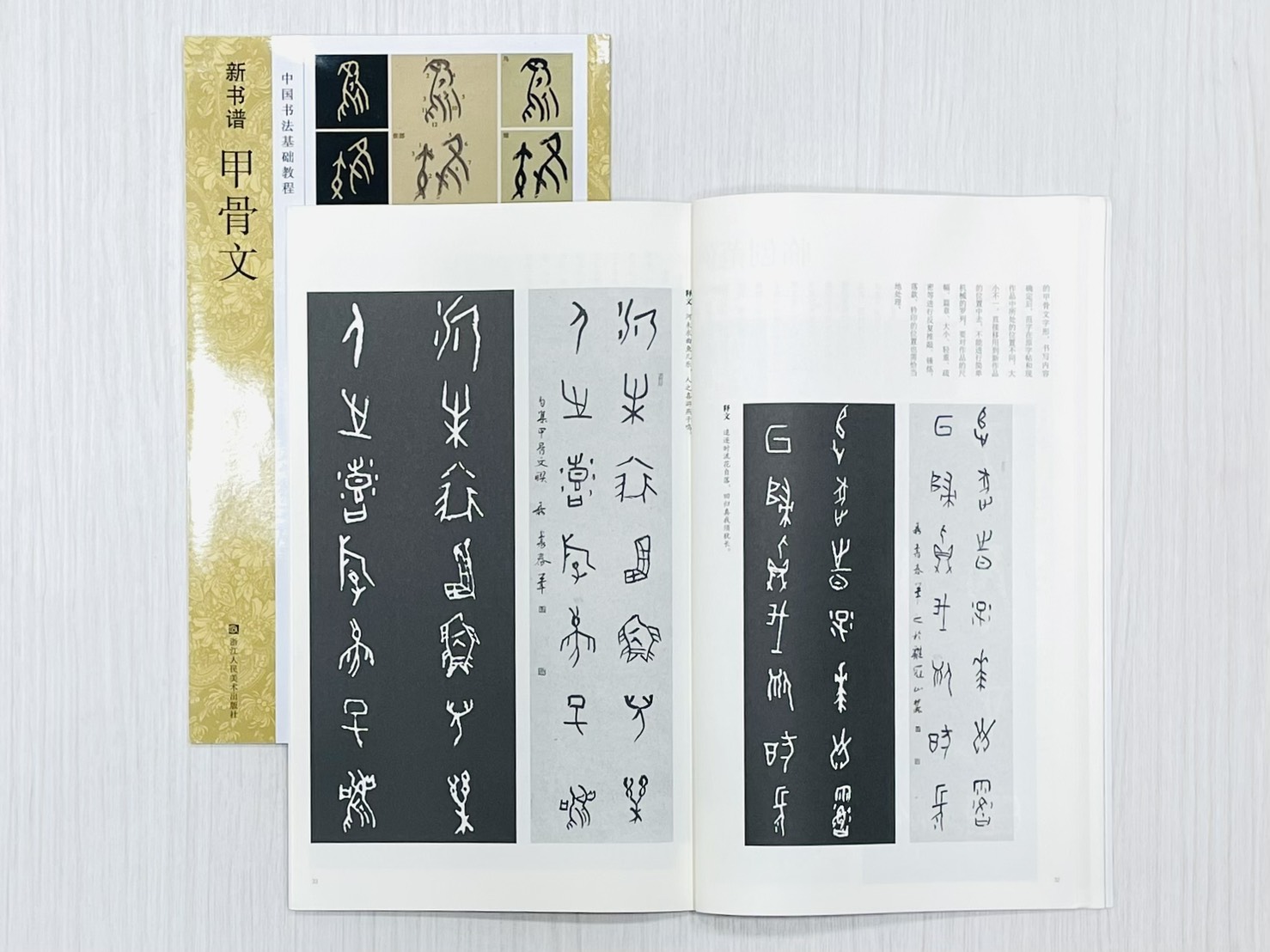 《新書譜 甲骨文》 中國書法基礎教程 聂書春 編著 浙江人民美術出版社