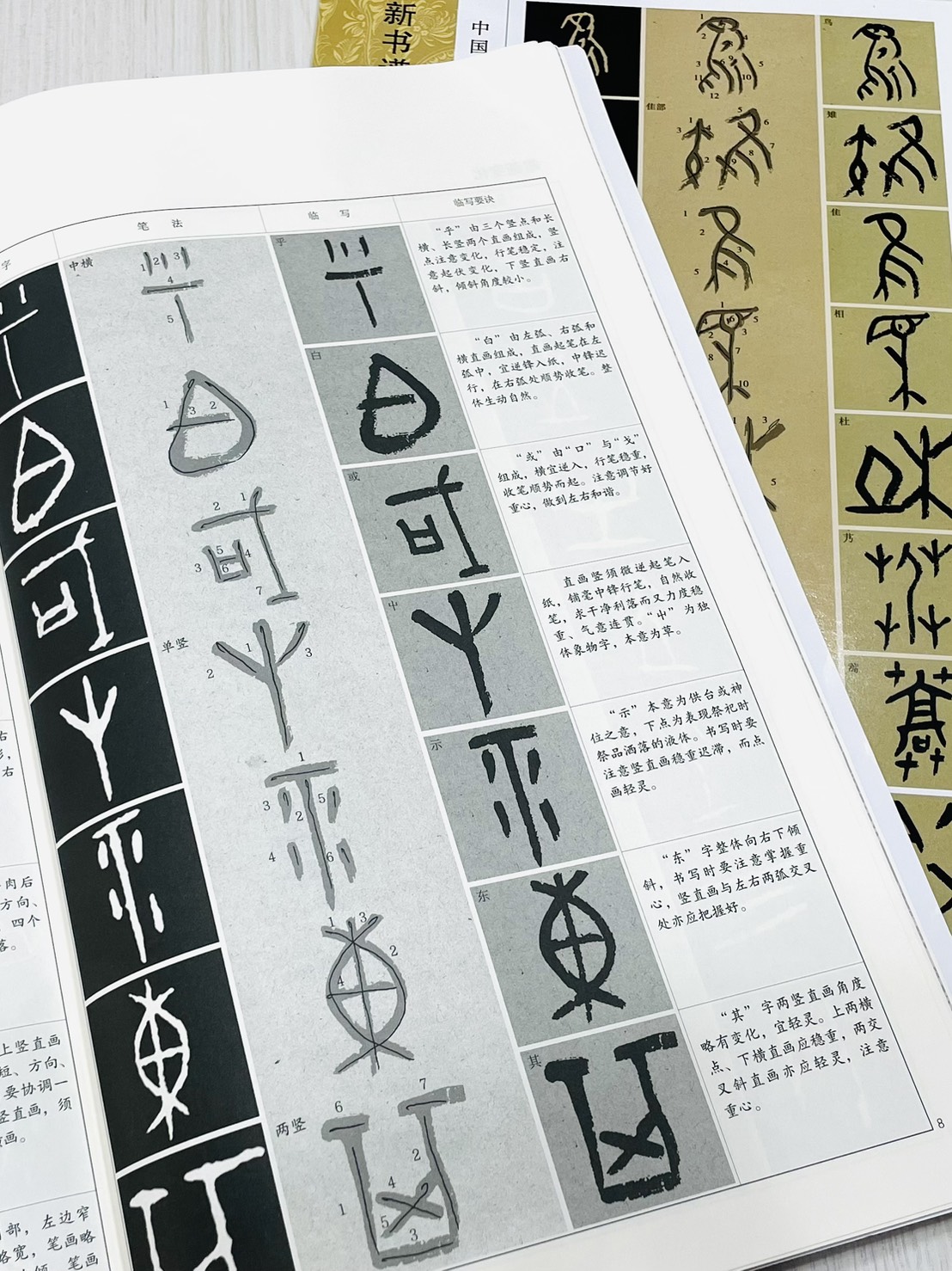《新書譜 甲骨文》 中國書法基礎教程 聂書春 編著 浙江人民美術出版社