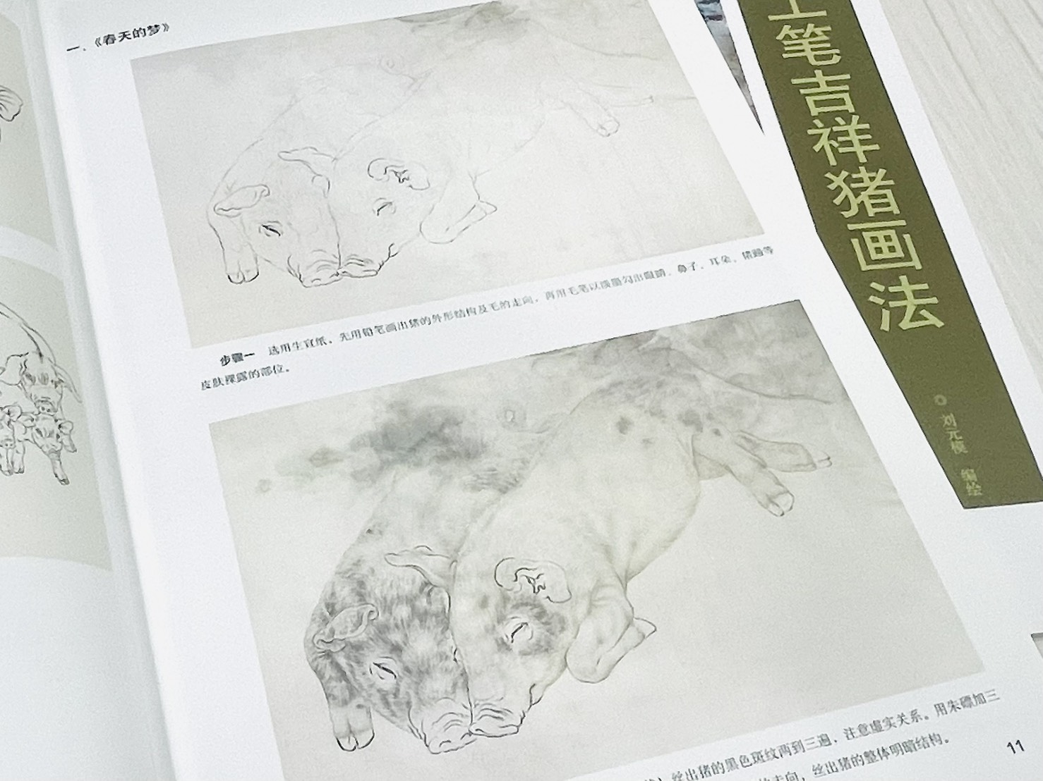 《工筆吉祥豬畫法》  名家國畫示範教程  劉元模 編繪  天津楊柳青畫社 出版