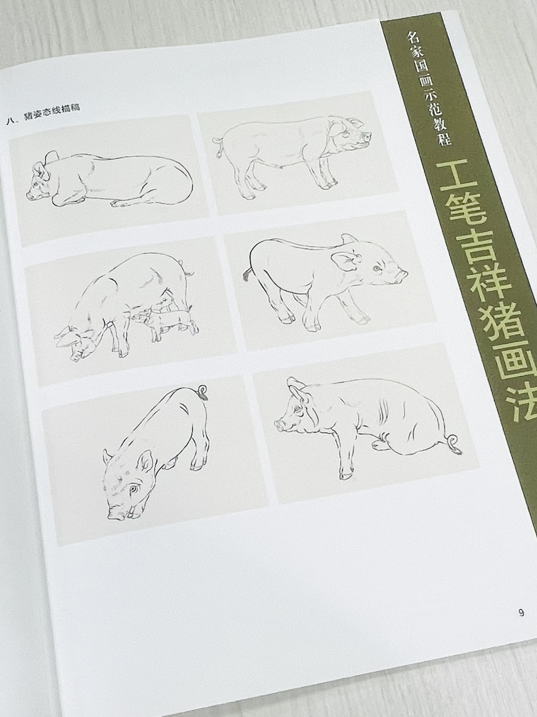 《工筆吉祥豬畫法》  名家國畫示範教程  劉元模 編繪  天津楊柳青畫社 出版