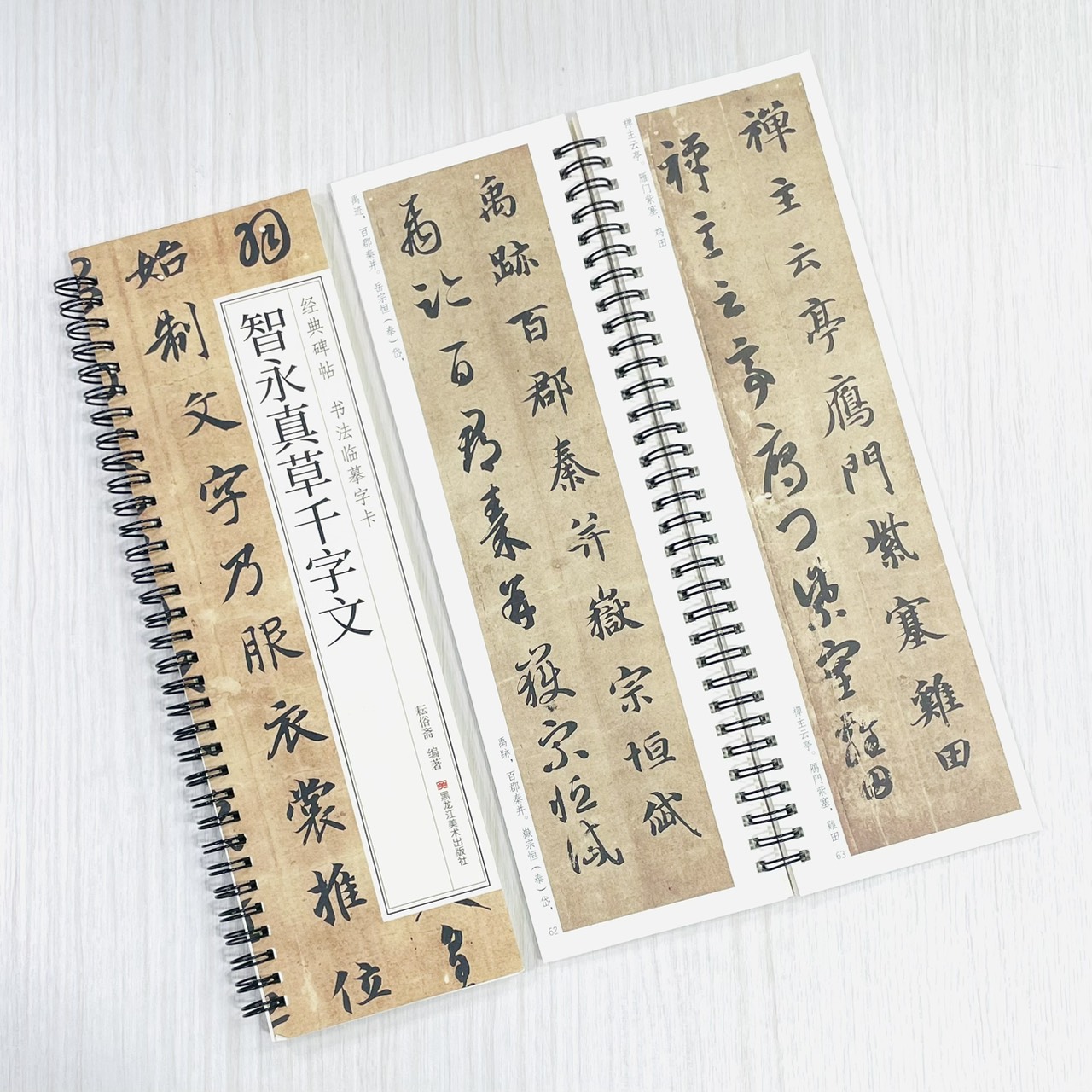 《智永真草千字文》 經典碑帖書法臨摹字卡 耘俗齋 編著 黑龍江美術出版社