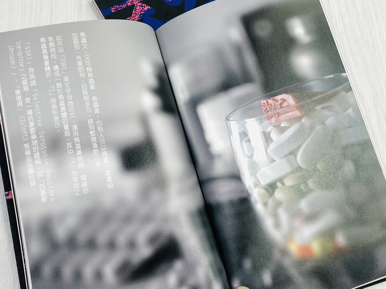 《變形記》 蔡孟宸印刻展 蕙風堂筆墨有限公司出版部 篆刻 作品集