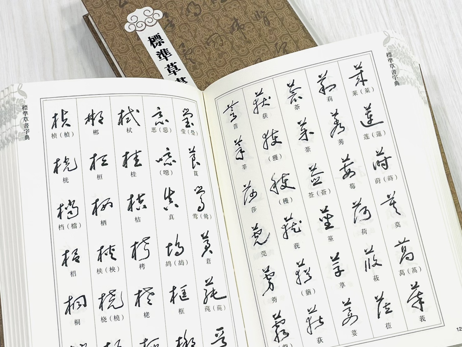 《標準草書字典》  陳墨石 主編  上海辭書出版社