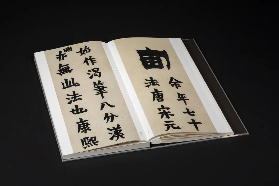  《書苑掇英  金農漆書相鶴經》  ［清］金農 書  西泠印社出版社 