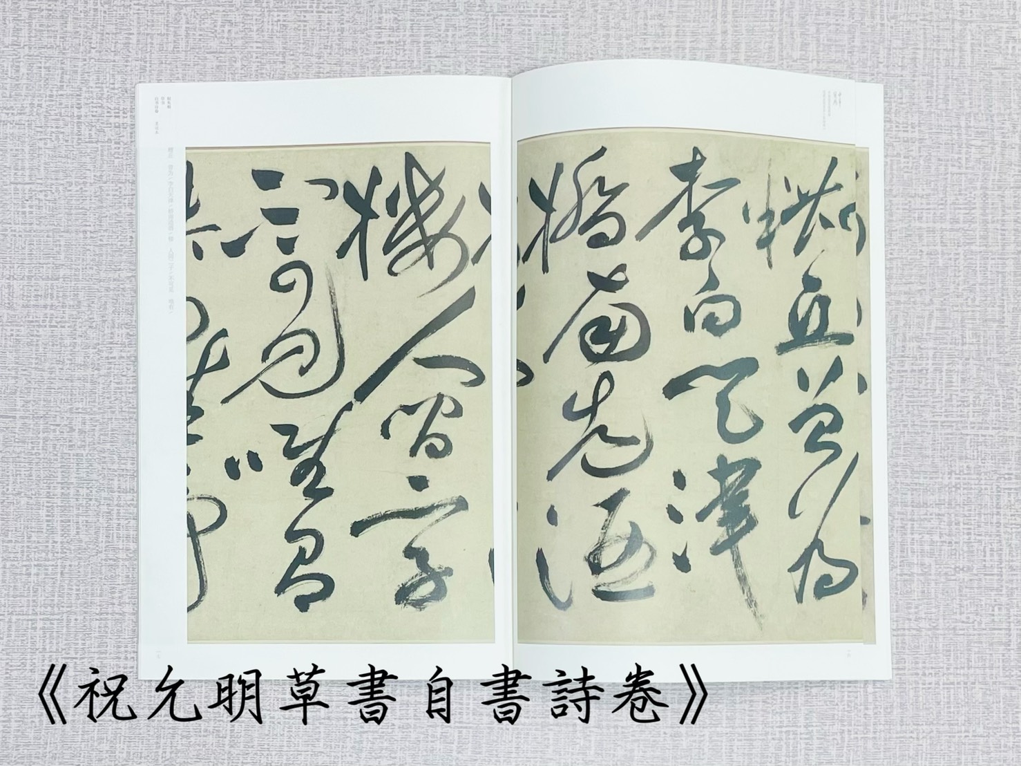 祝允明草書自書詩卷中華寶典中國國家博物館館藏法帖書系（第四輯） 王春法 主編 楊揚編著 安徽美術出版社