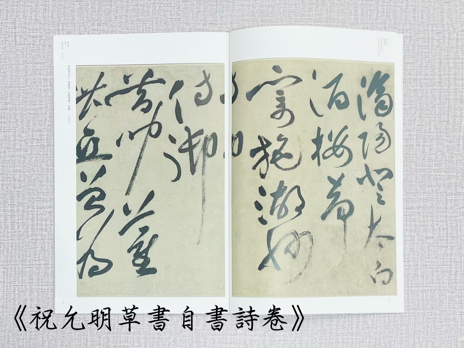 祝允明草書自書詩卷中華寶典中國國家博物館館藏法帖書系（第四輯） 王春法 主編 楊揚編著 安徽美術出版社