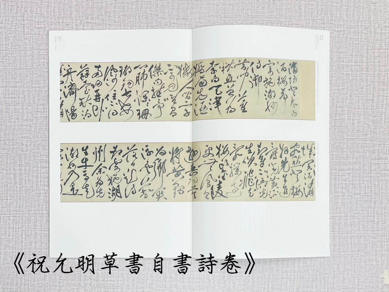 祝允明草書自書詩卷中華寶典中國國家博物館館藏法帖書系（第四輯） 王春法 主編 楊揚編著 安徽美術出版社