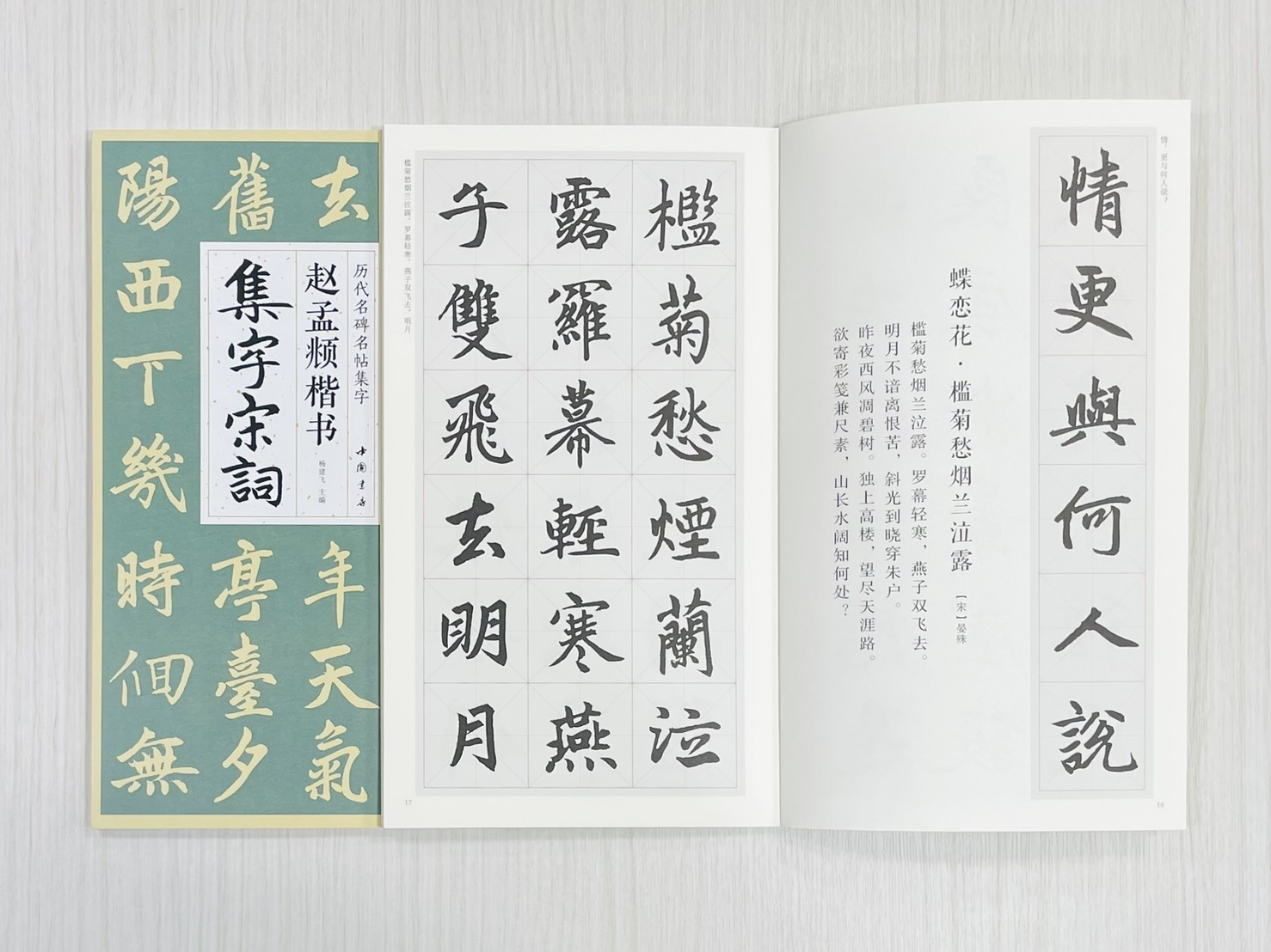 《趙孟頫楷書集字宋詞》 歷代名碑名帖集字 楊建飛 主編 中國書店出版發行