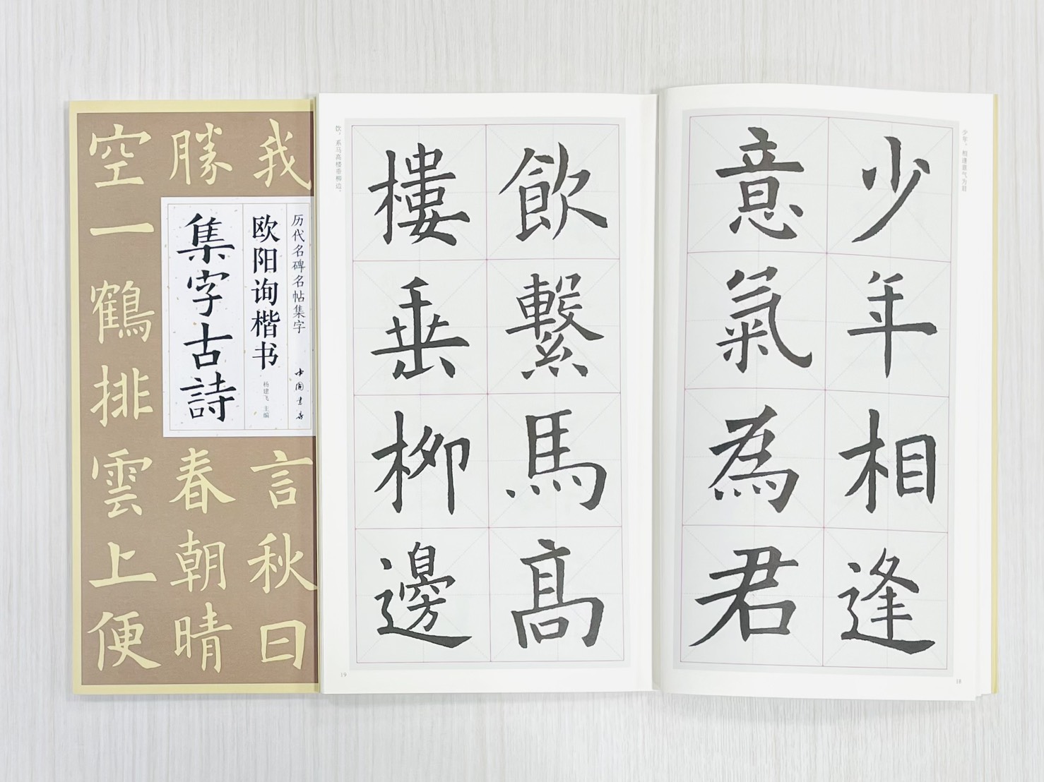 《歐陽詢楷書集字古詩》 歷代名碑名帖集字 楊建飛 主編 中國書店出版發行
