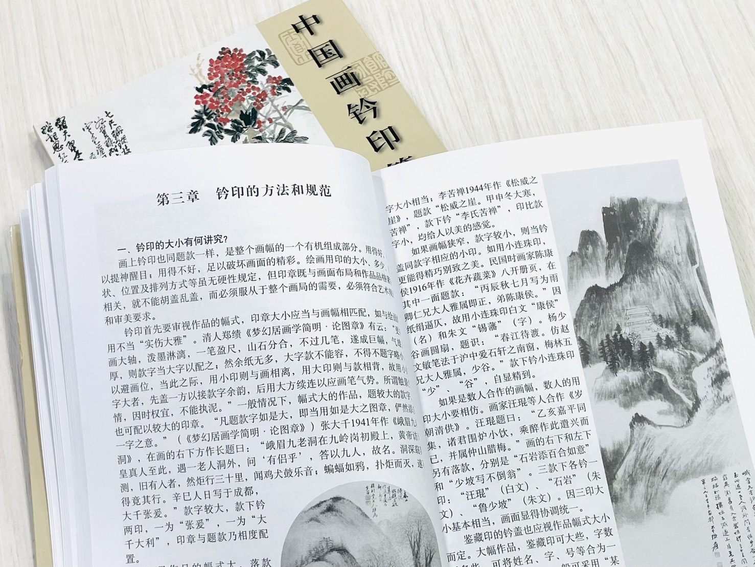 《中國畫鈴印答問》 章用秀 著 天津人民美術出版社 