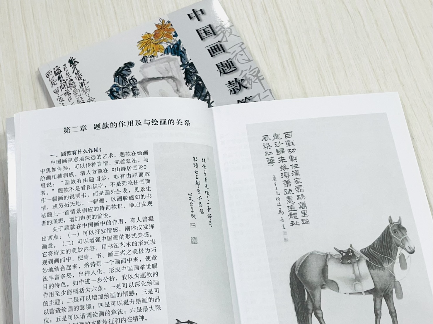 《中國畫題款答問》 章用秀 著 天津人民美術出版社