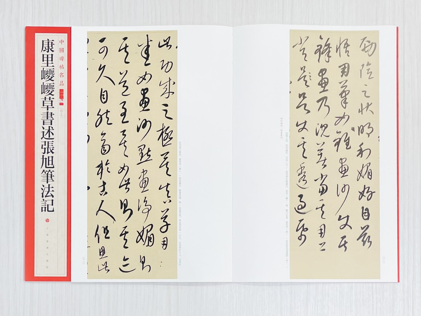 《康里巎巎草書述張旭筆法記》 中國碑帖名品 二編［49］ 上海書畫出版社
