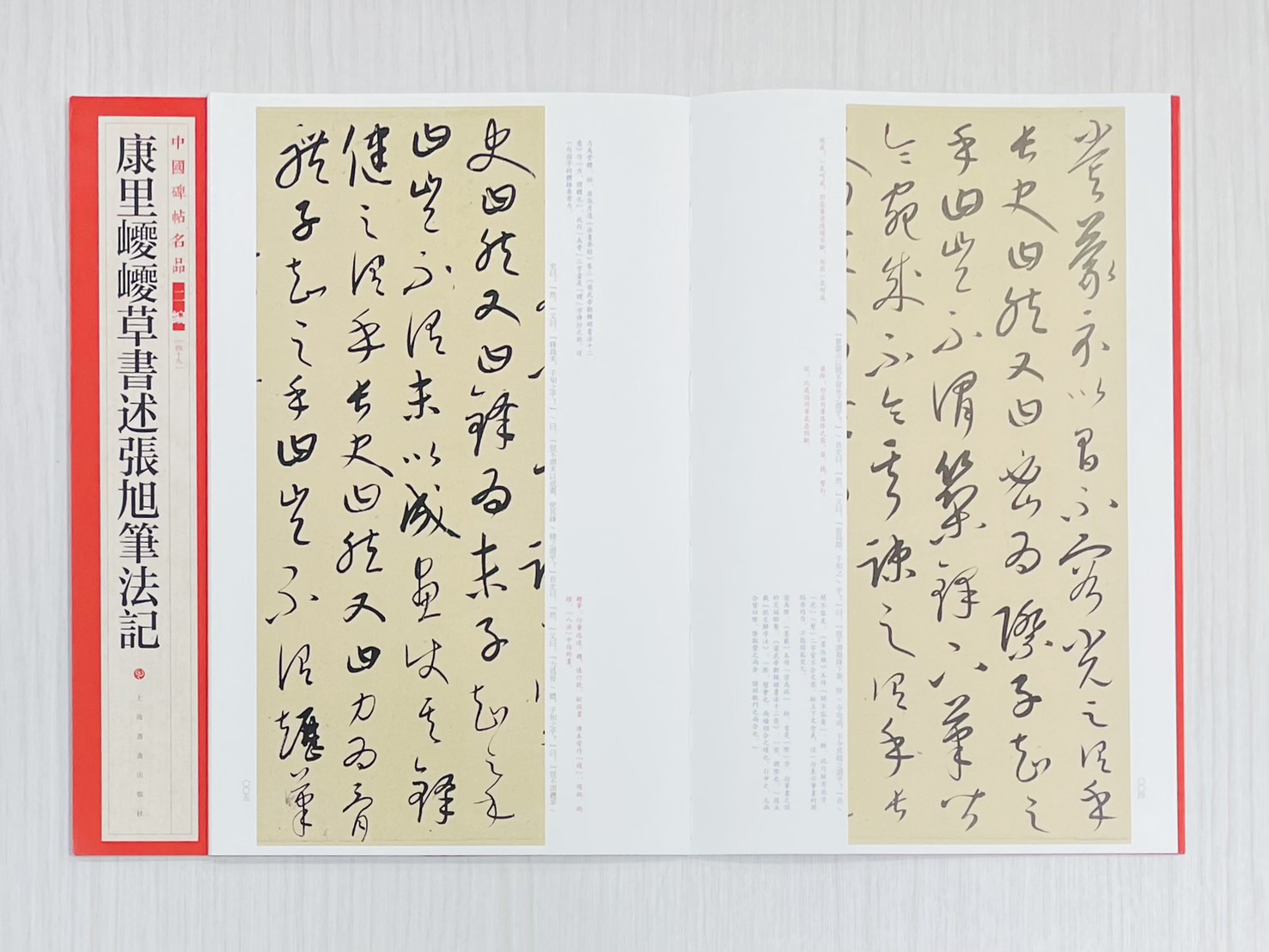 《康里巎巎草書述張旭筆法記》 中國碑帖名品 二編［49］ 上海書畫出版社