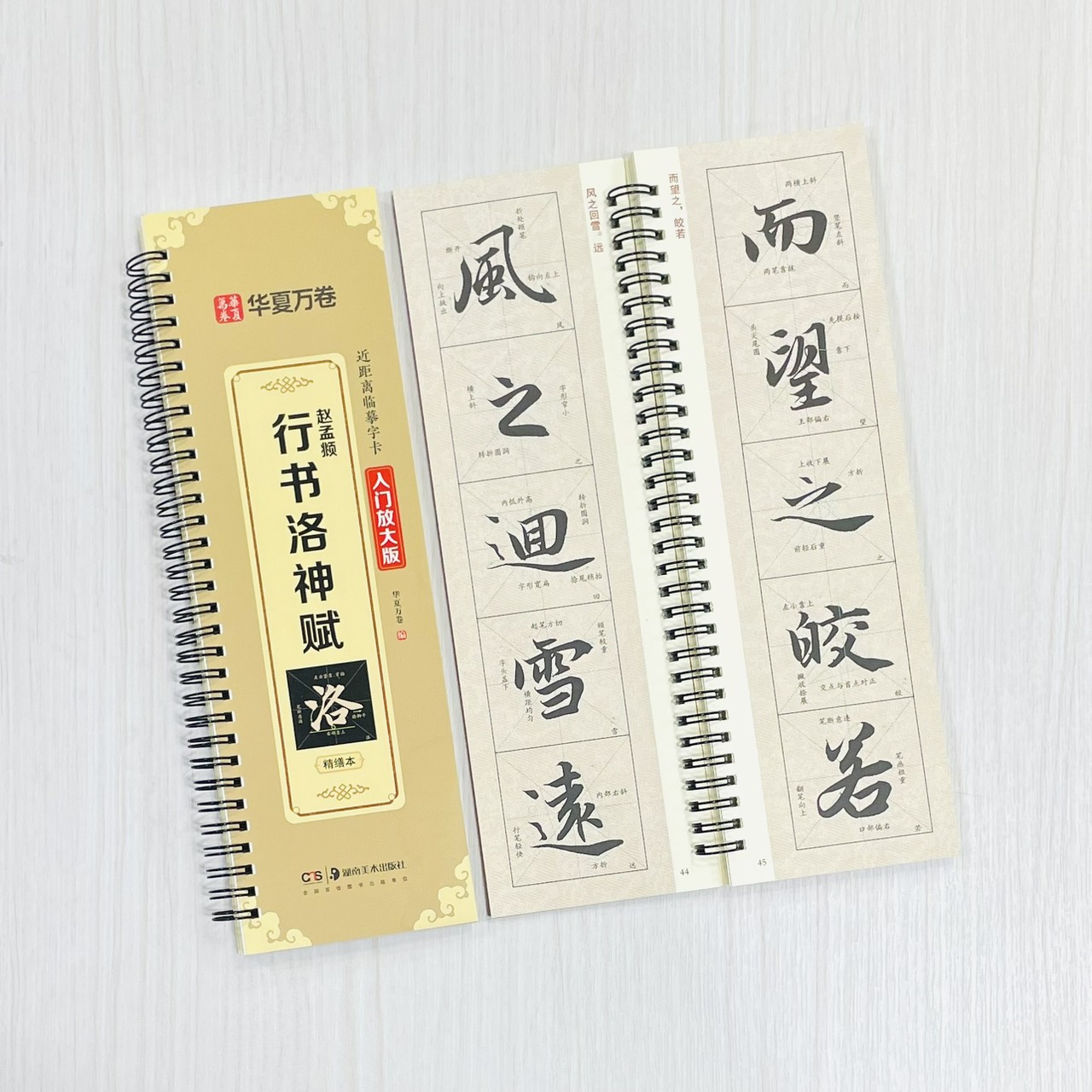 《趙孟頫行書洛神賦 精繕本》 近距離臨摹字卡 入門放大版 華夏萬卷 編 湖南美術出版社