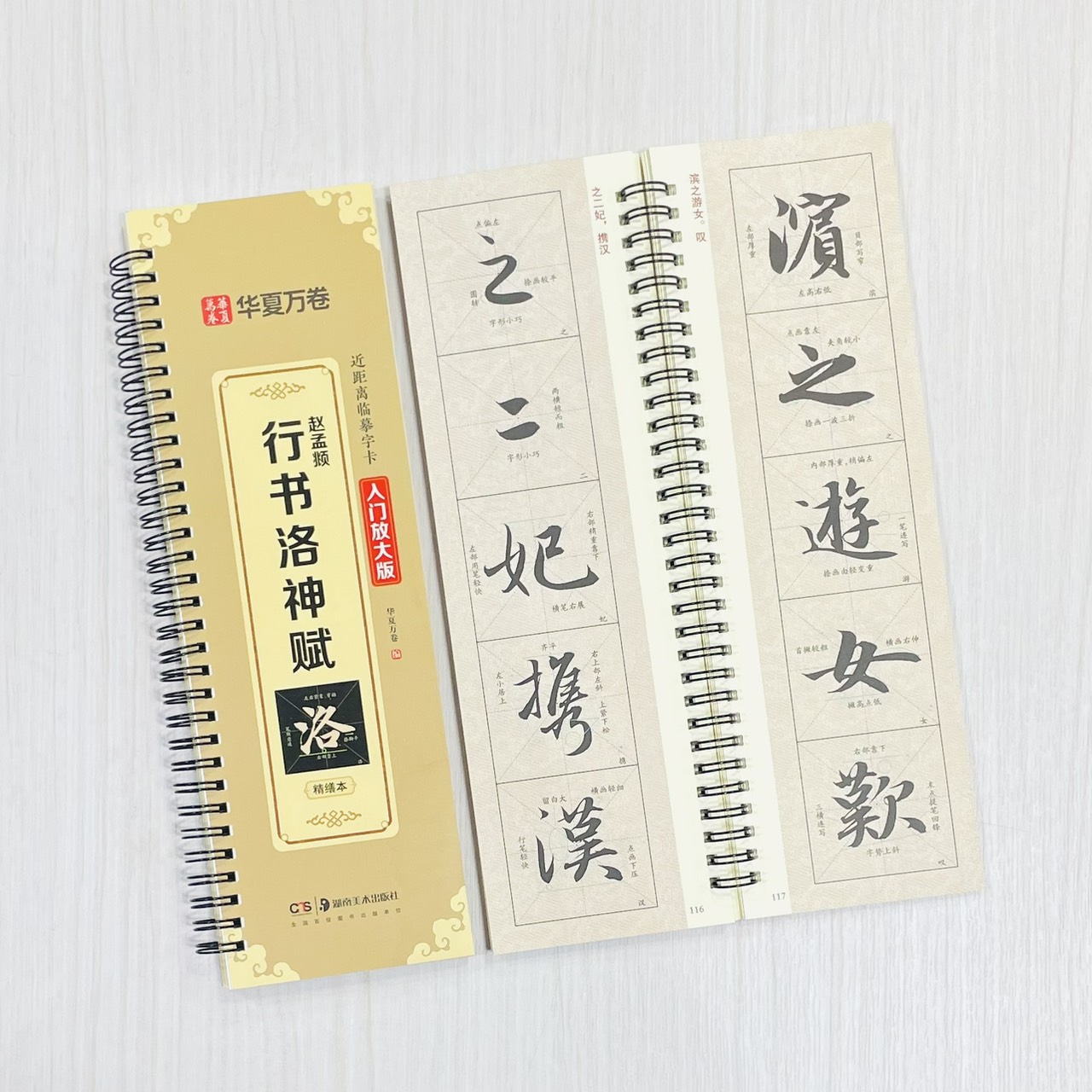 《趙孟頫行書洛神賦 精繕本》 近距離臨摹字卡 入門放大版 華夏萬卷 編 湖南美術出版社