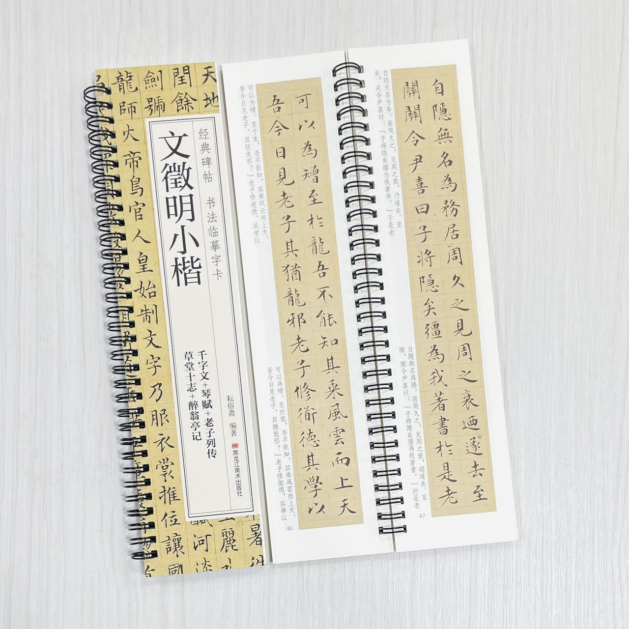 《文徵明小楷》 經典碑帖 書法臨摹字卡 耘俗齋 編著 黑龍江美術出版社