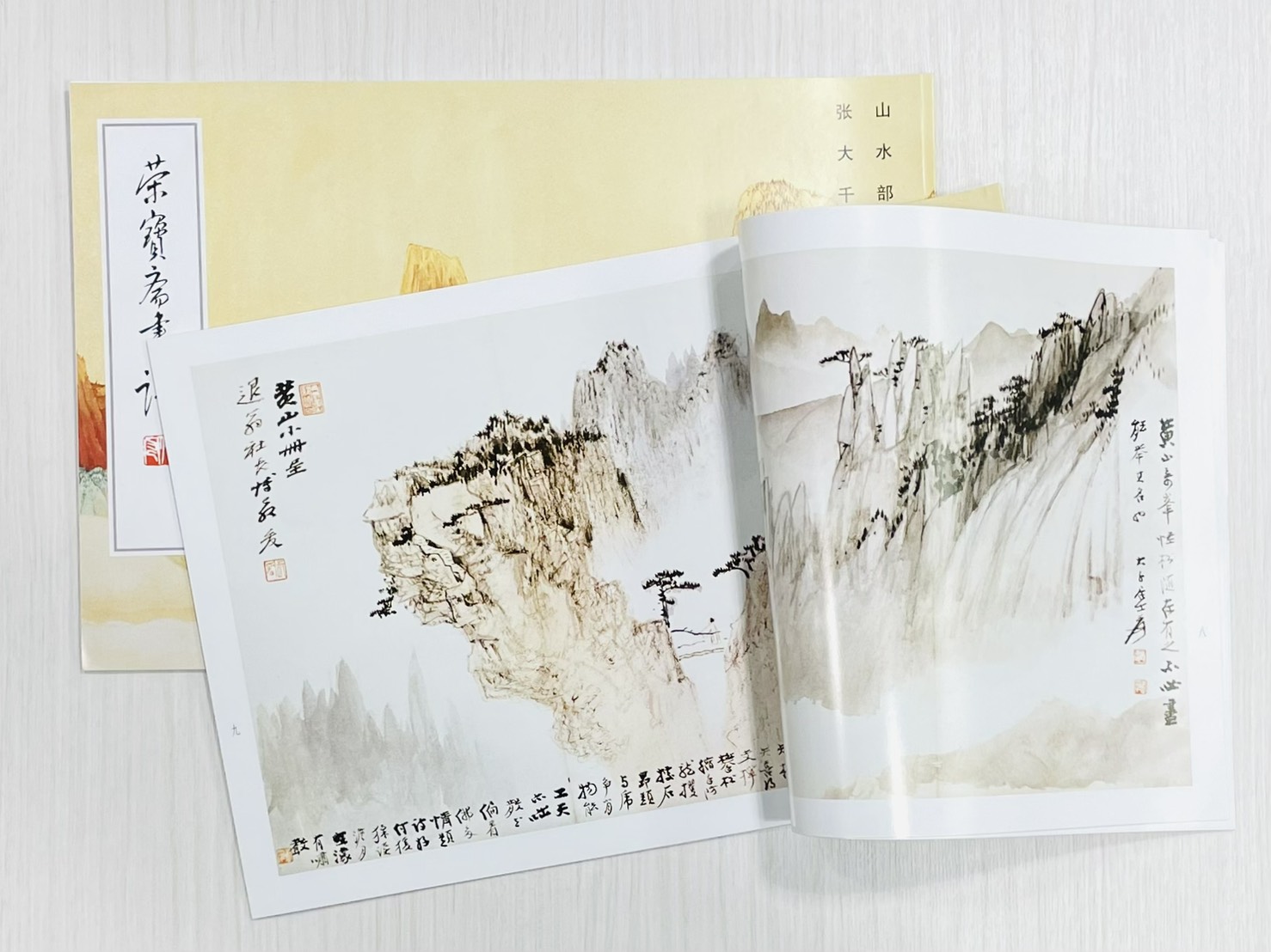 《榮寶齋畫譜.現代編（12）：山水部分》 張大千 繪 榮寶齋出版社