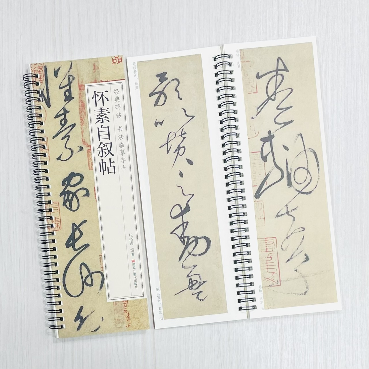 《懷素自敘帖》 經典碑帖 書法臨摹字卡 耘俗齋 編著 黑龍江美術出版社