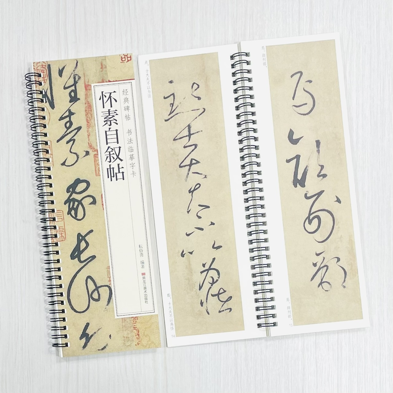 《懷素自敘帖》 經典碑帖 書法臨摹字卡 耘俗齋 編著 黑龍江美術出版社