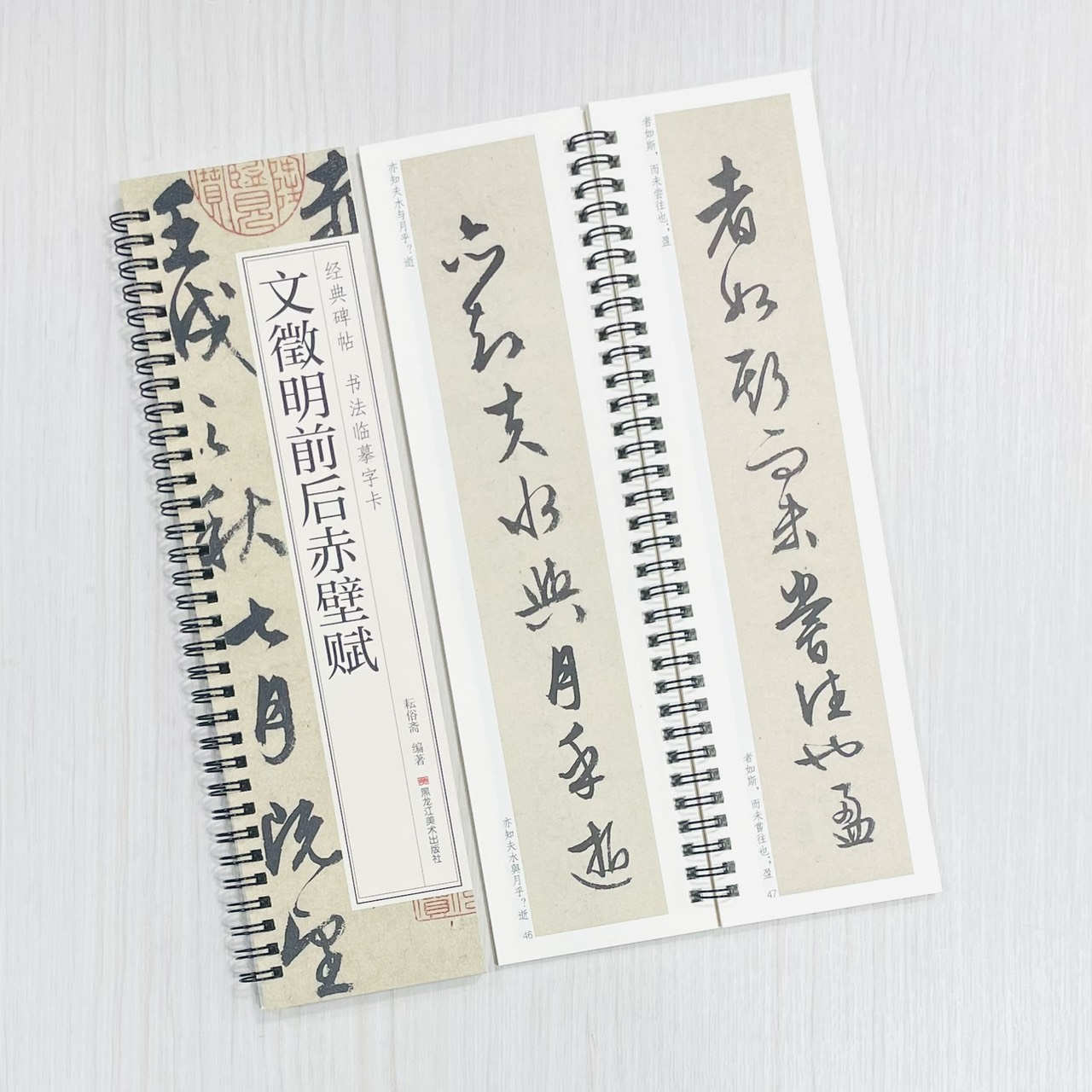 《文徵明前後赤壁賦》 經典碑帖 書法臨摹字卡 耘俗齋 編著 黑龍江美術出版社