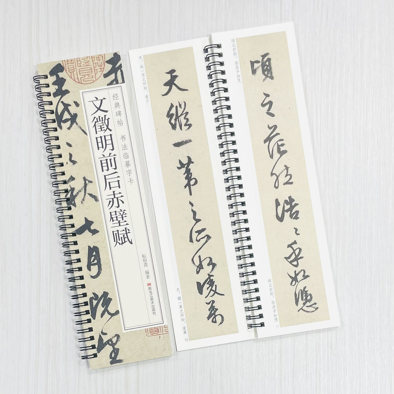 《文徵明前後赤壁賦》 經典碑帖 書法臨摹字卡 耘俗齋 編著 黑龍江美術出版社