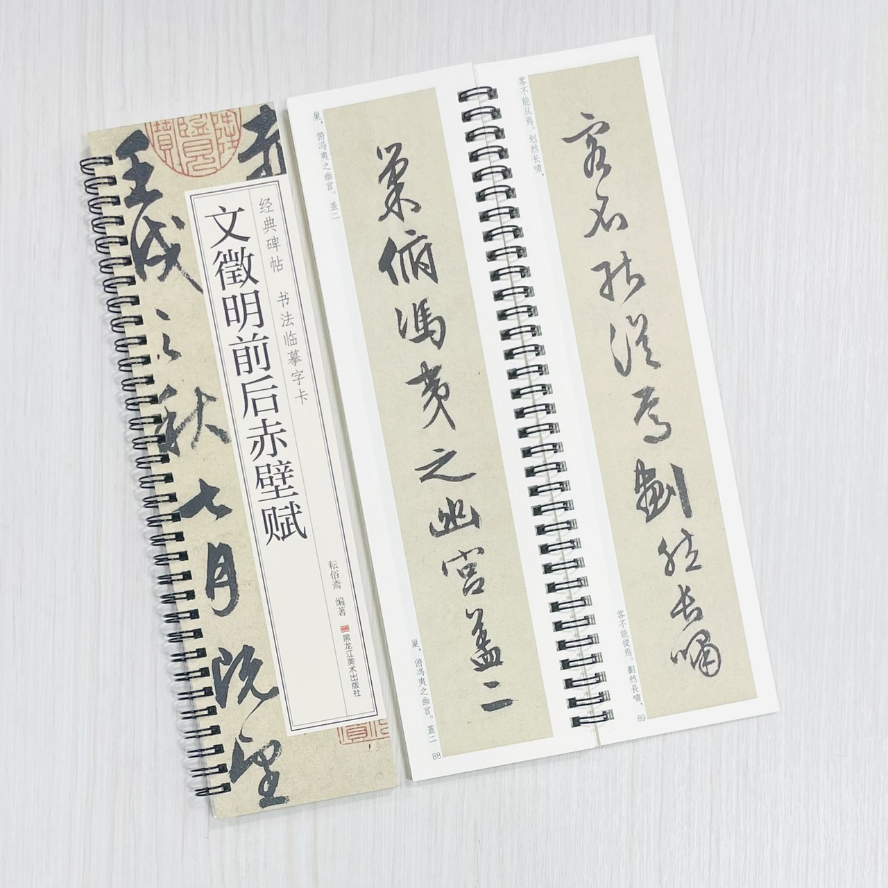 《文徵明前後赤壁賦》 經典碑帖 書法臨摹字卡 耘俗齋 編著 黑龍江美術出版社