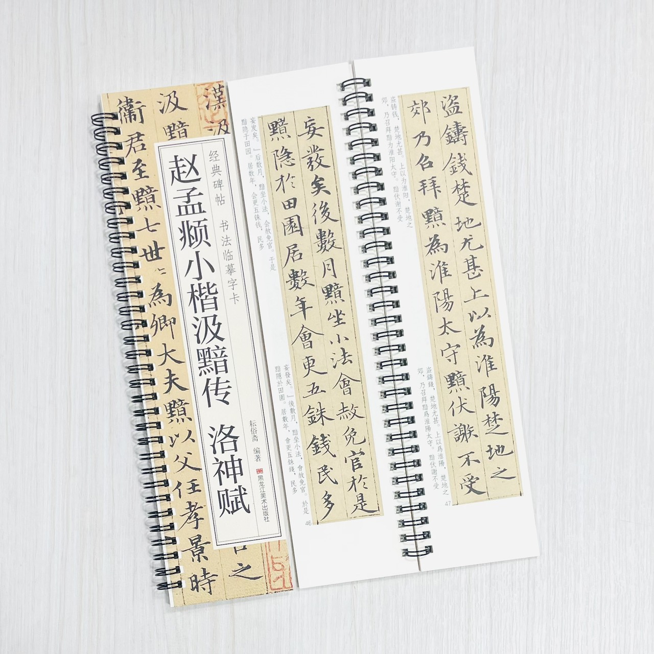 《趙孟頫小楷汲黯傳 洛神賦》 經典碑帖 書法臨摹字卡 耘俗齋 編著 黑龍江美術出版社