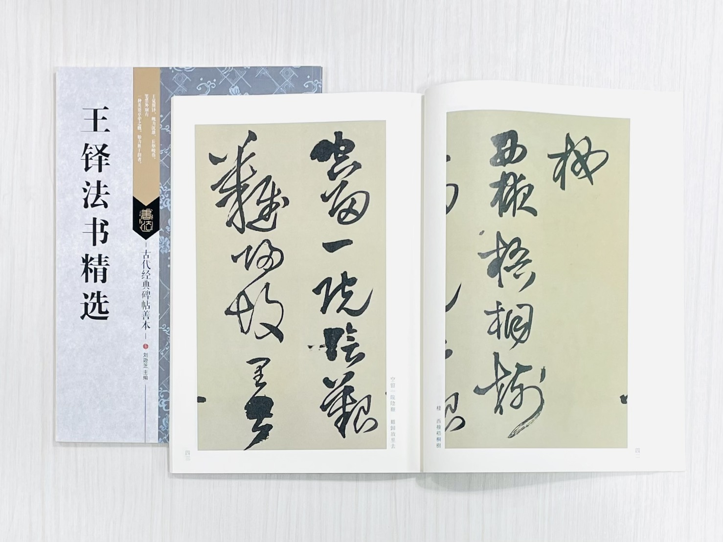 《王鐸法書精選》 古代經典碑帖善本 劉遜芝 主編 江蘇鳳凰美術出版社 出版發行