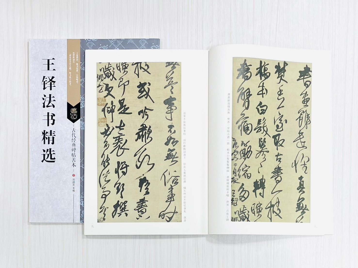 《王鐸法書精選》 古代經典碑帖善本 劉遜芝 主編 江蘇鳳凰美術出版社 出版發行