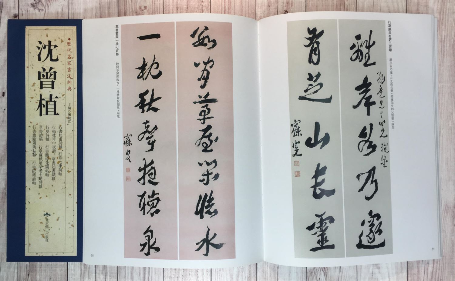   《沈曾植》 歷代名家書法經典 / 中國書局   