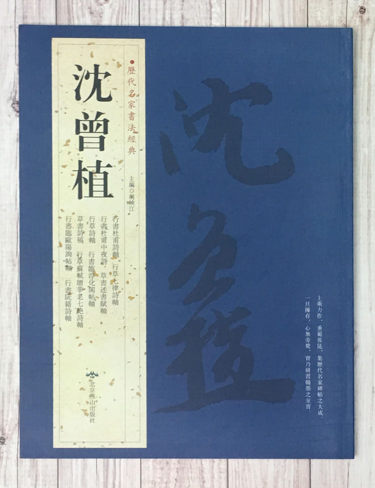   《沈曾植》 歷代名家書法經典 / 中國書局   