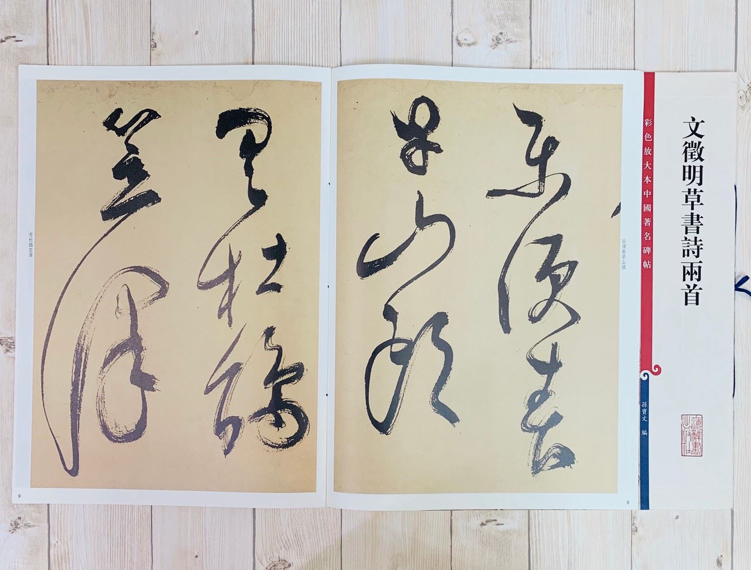 《文徵明草書詩兩首》 孫寶文彩色放大 中國著名碑帖  上海辭書出版社