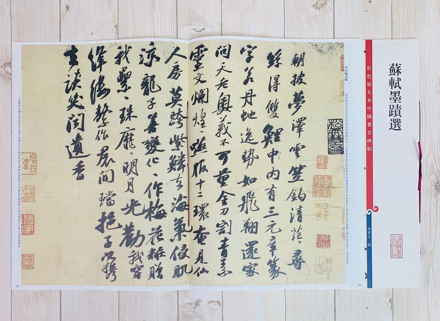 《蘇軾墨蹟選》 孫寶文 彩色放大 中國著名碑帖  上海辭書出版社