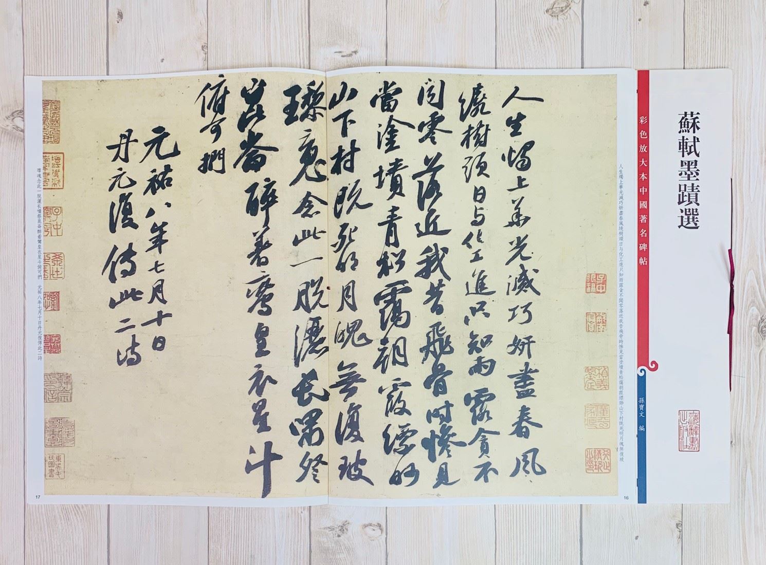 《蘇軾墨蹟選》 孫寶文 彩色放大 中國著名碑帖  上海辭書出版社