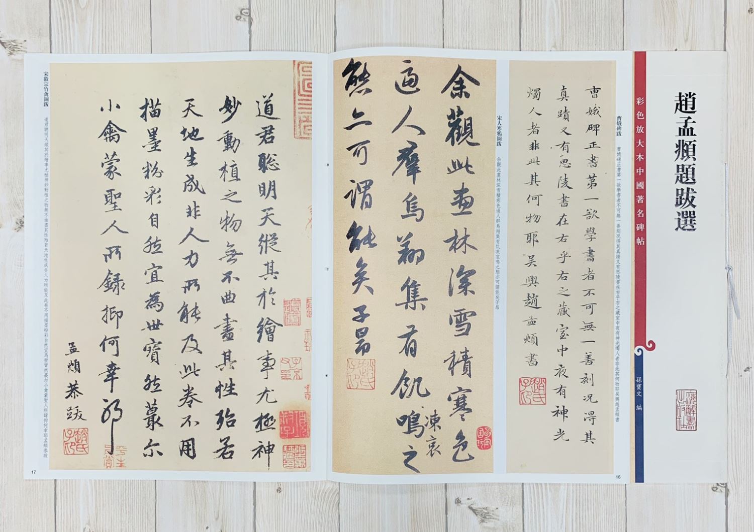 《趙孟頫題跋選》孫寶文 彩色放大 中國著名碑帖  上海辭書出版社