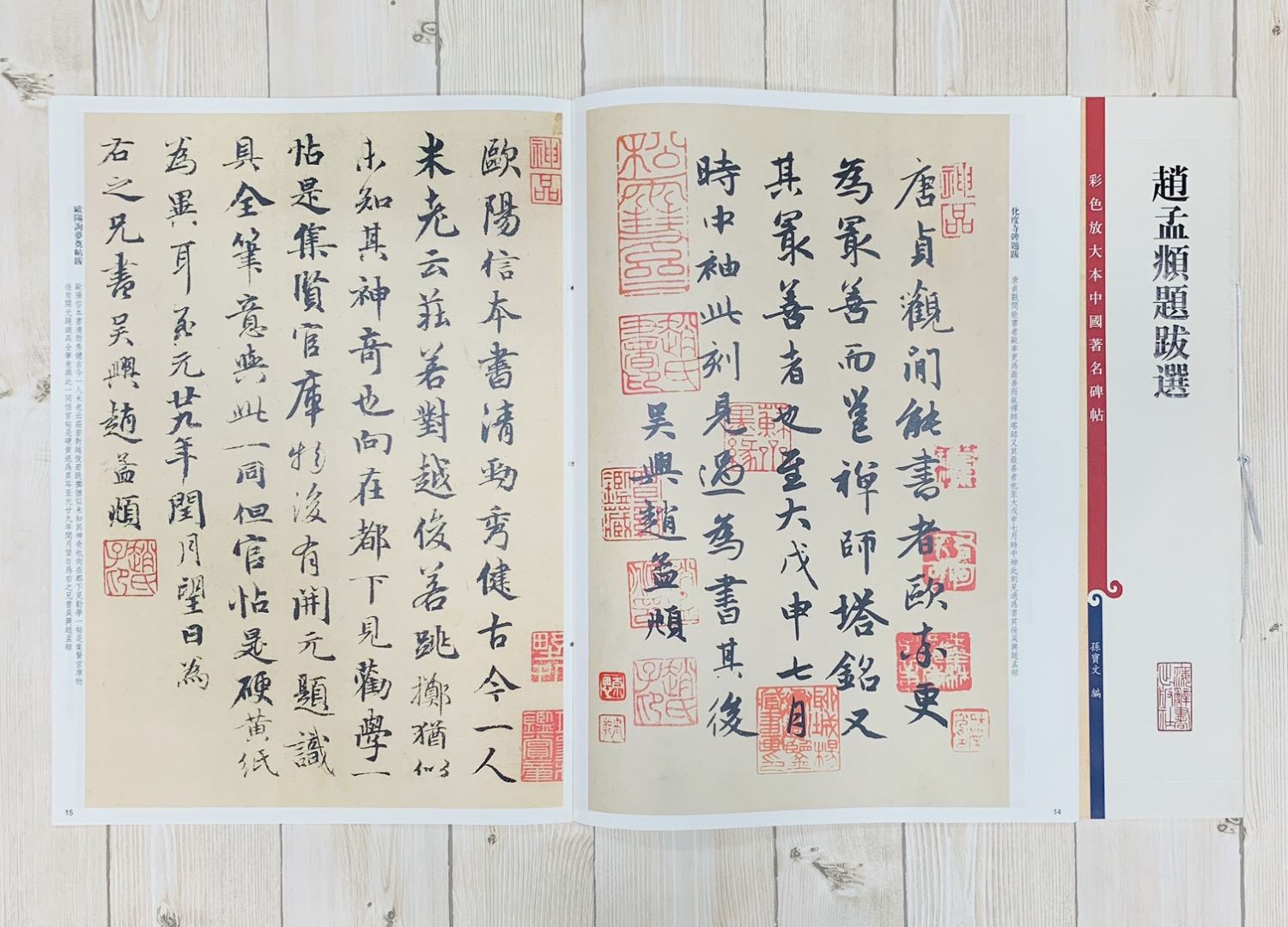 《趙孟頫題跋選》孫寶文 彩色放大 中國著名碑帖  上海辭書出版社
