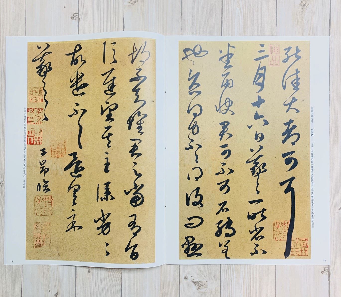《趙孟頫臨淳化閣帖》孫寶文 彩色放大 中國著名碑帖  上海辭書出版社