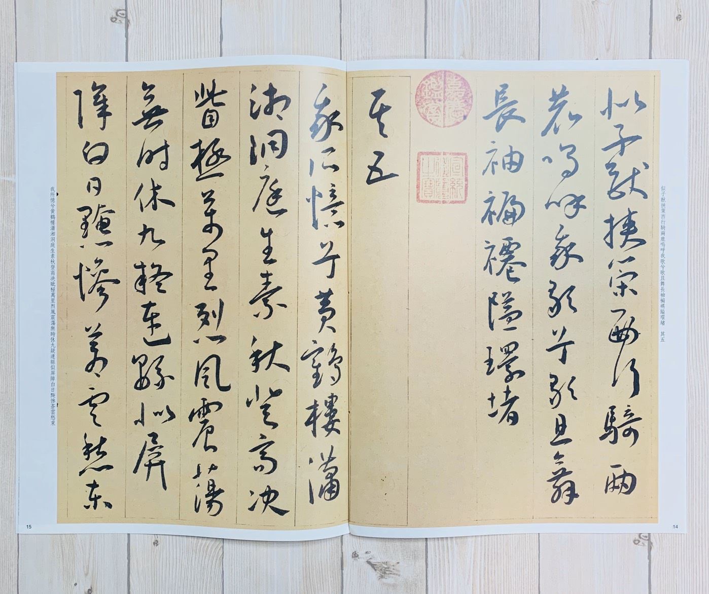 《王寵書五億歌》孫寶文 彩色放大 中國著名碑帖  上海辭書出版社