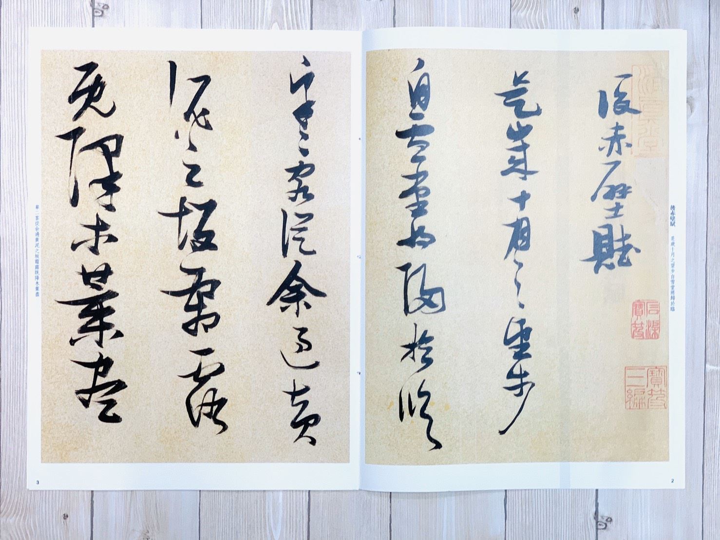 《張瑞圖書後赤壁賦》孫寶文 編  彩色放大 中國著名碑帖  上海辭書出版社